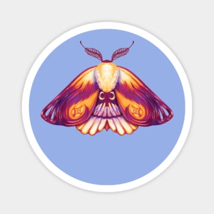 Pink and orange moth Magnet